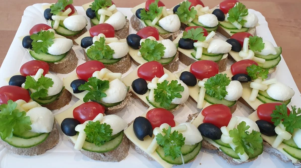 Salmon, vegan, gluten-free and lactose-free